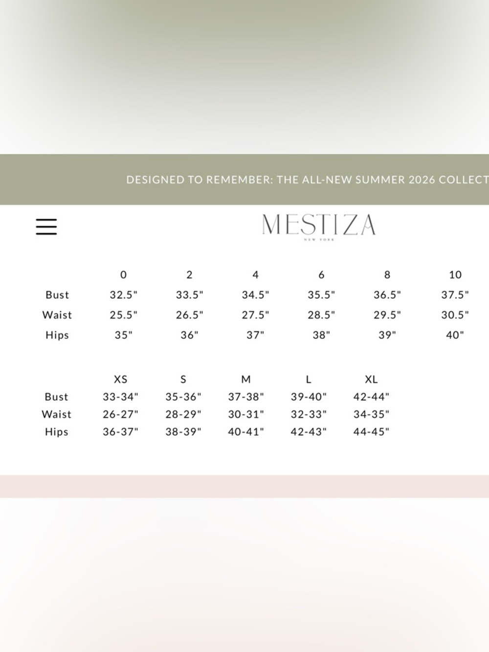 NWT Mestiza NY Katherine Maxi dress - Picture 11 of 11